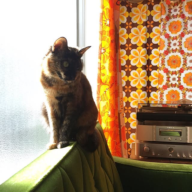 hilaさんの実例写真