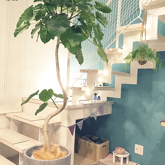 vol.778写真