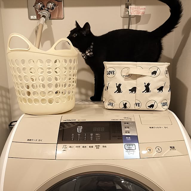sakuraさんの部屋
