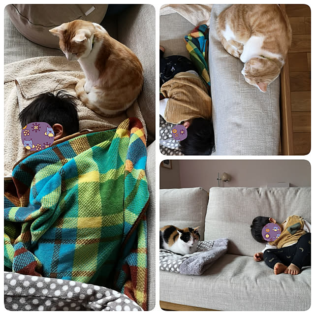 koyurizuさんの実例写真