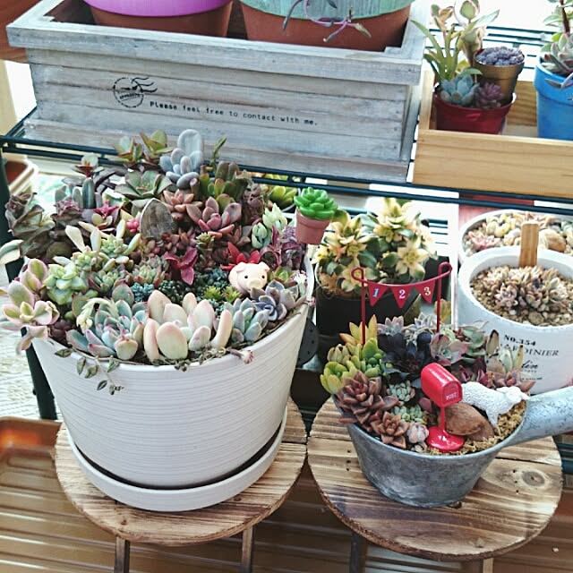 cocomilkさんの実例写真