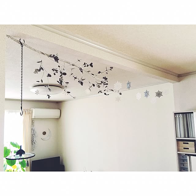Kaneyukiさんの実例写真
