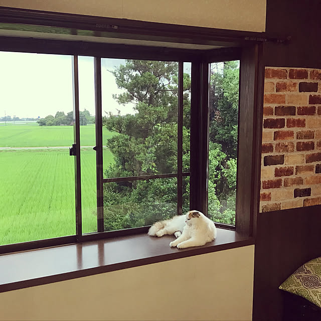 ダイソーリメイクシート木目♡/ダイソーリメイクシートレンガ/壁紙DIY/ダイソー/100均...などのインテリア実例 - 2021-07-19 11:19:47