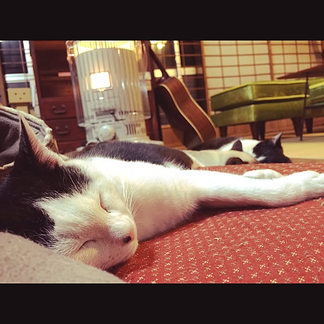 willsoldhouseさんの実例写真