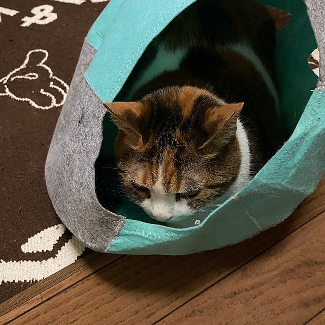 nikitasTさんの実例写真