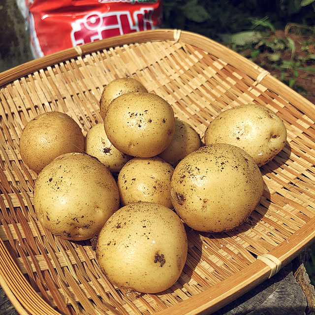 u-koさんの実例写真