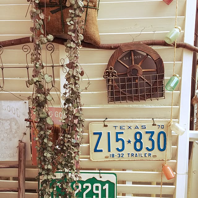 soraさんの実例写真