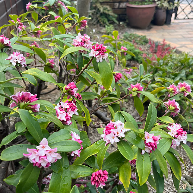 kuuさんの実例写真