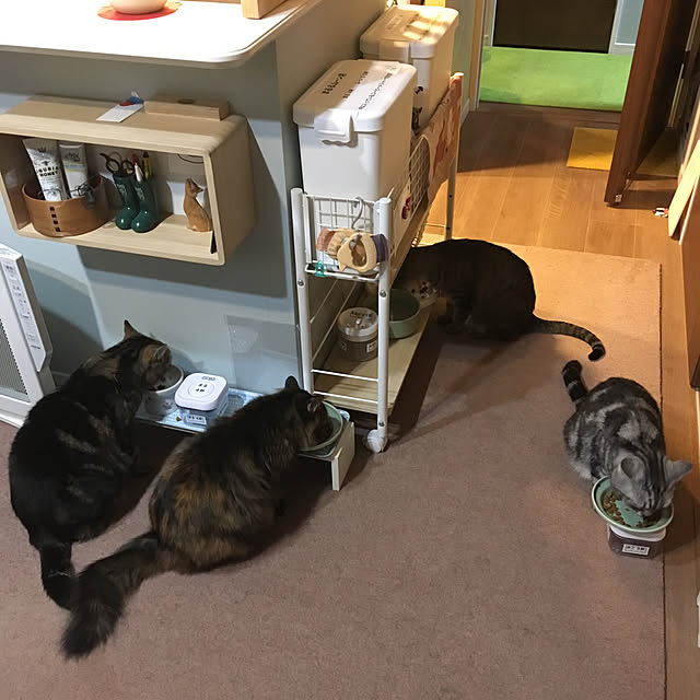 mikomaruさんの実例写真