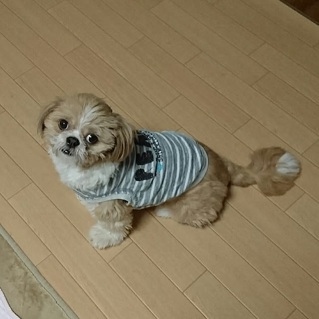 ronさんの実例写真