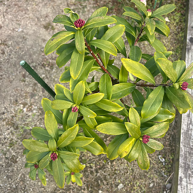 banbinaさんの部屋