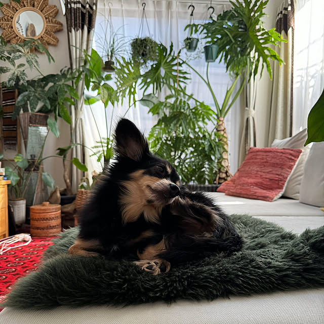 h_a_n_a_y_u_iさんの部屋
