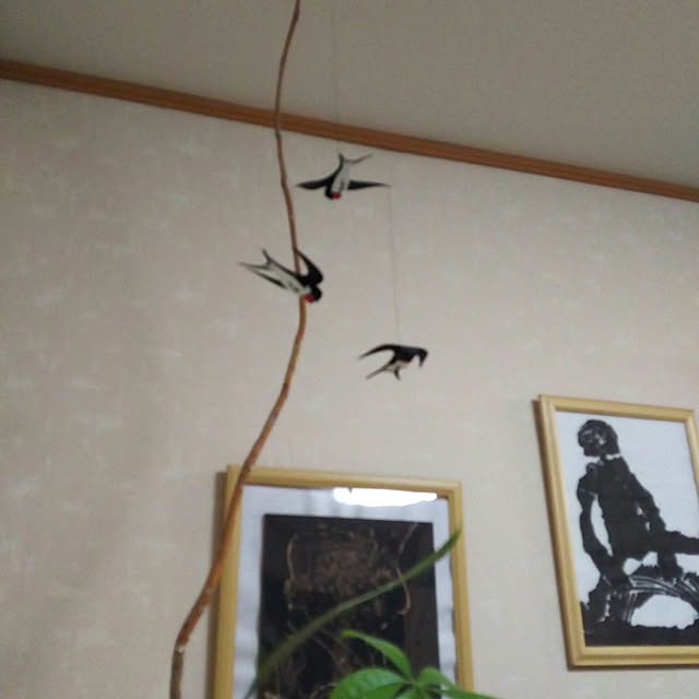 bikkeさんの実例写真