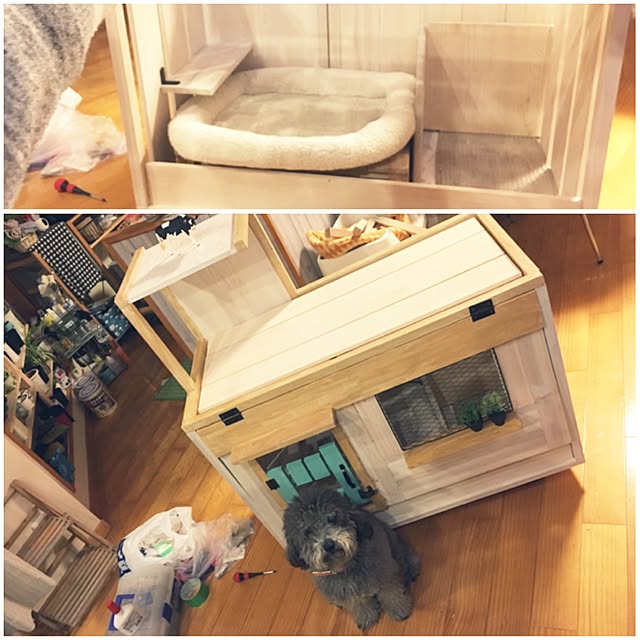 makoriさんの実例写真