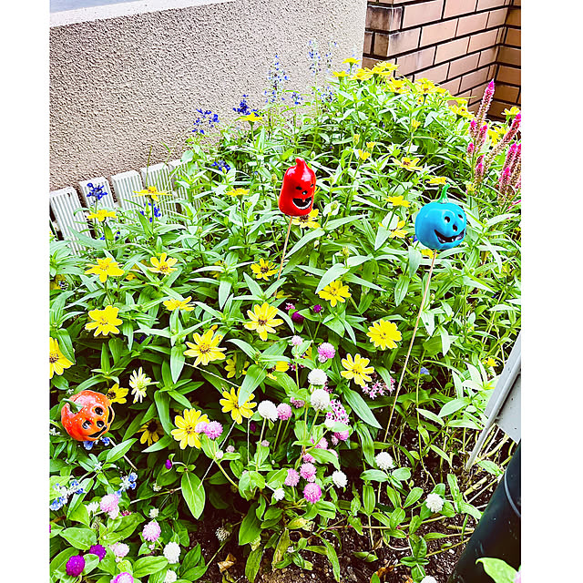 NAOさんの部屋