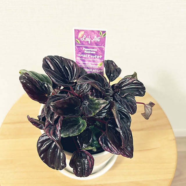 yoyoyoさんの部屋