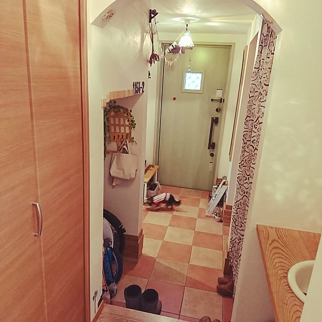 akiさんの実例写真