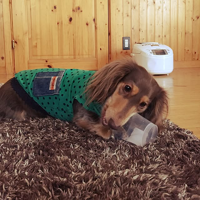 yupponさんの実例写真
