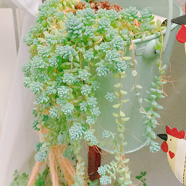 Hanakaさんの部屋
