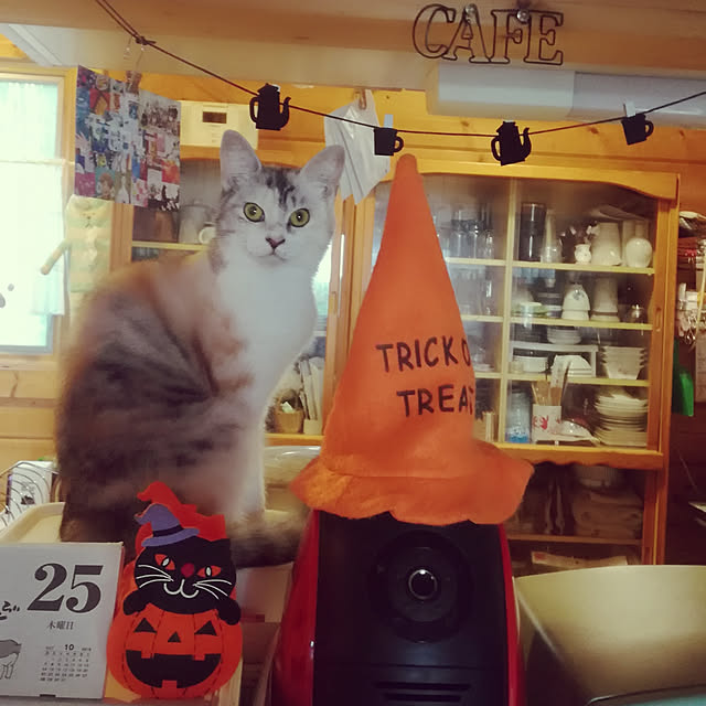 Maki-nekomamireさんの実例写真