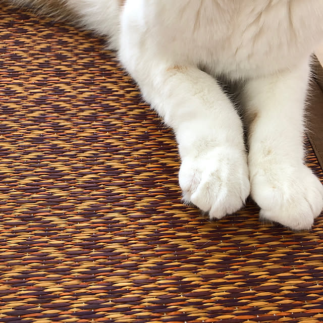 tomatoさんの実例写真