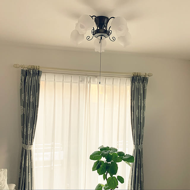 観葉植物/壁/天井のインテリア実例 - 2020-03-21 17:38:09