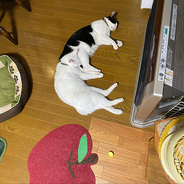 SHIHOさんの実例写真