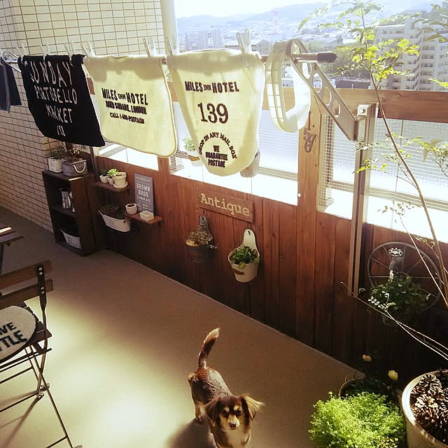 titiさんの実例写真