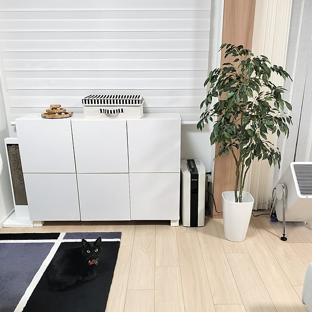 sakuraさんの実例写真