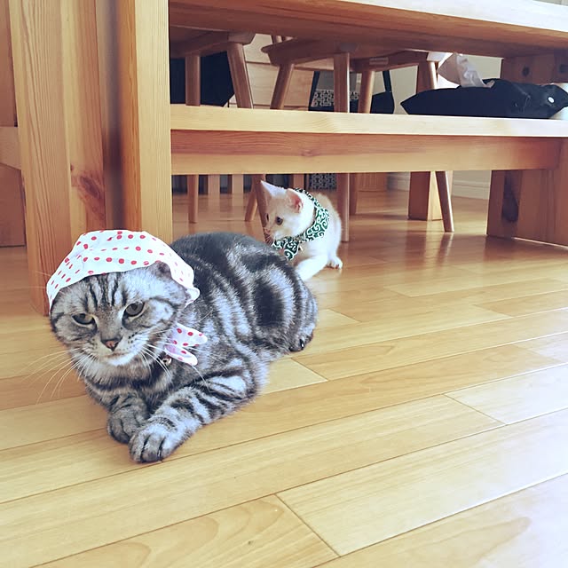 hiyupan88さんの実例写真