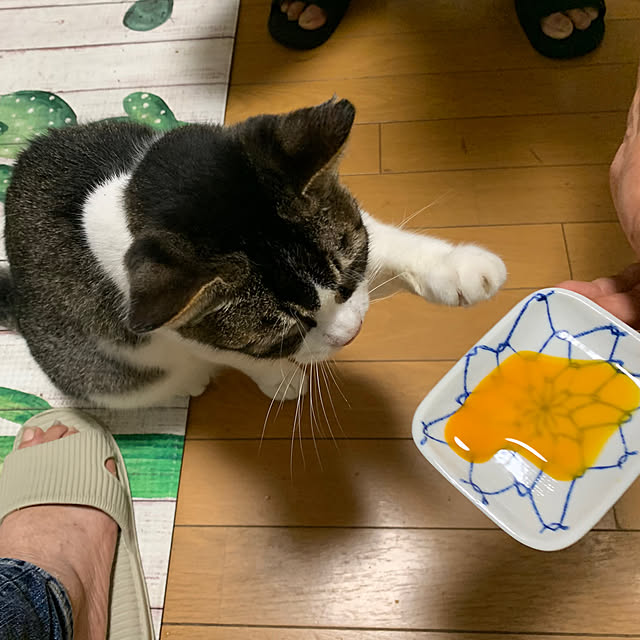 tekocyanさんの実例写真