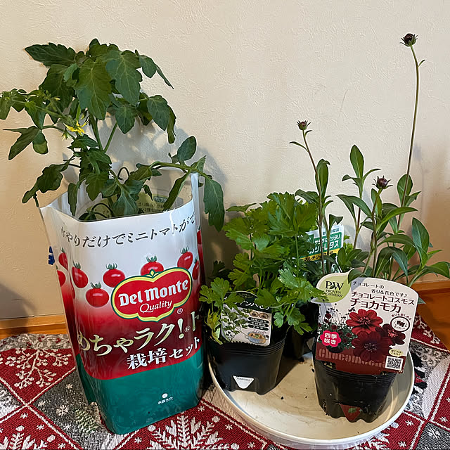 kakoさんの実例写真