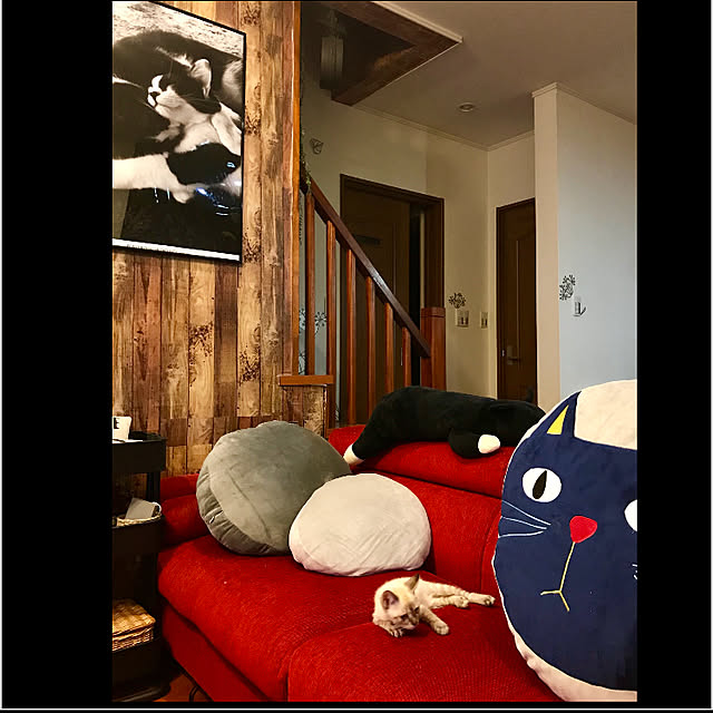 butachanさんの実例写真