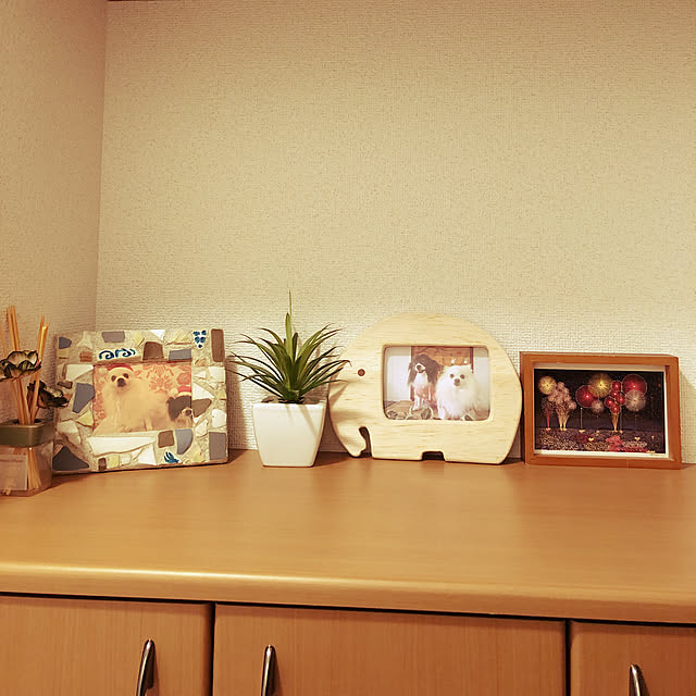 fun9.the.rock.さんの実例写真