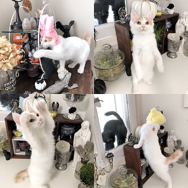 yuchiさんの実例写真