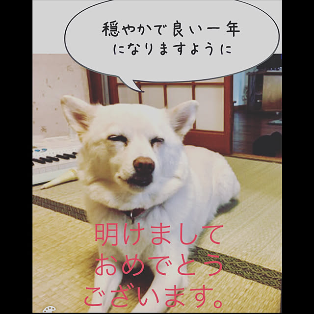 jewel-ynmさんの実例写真