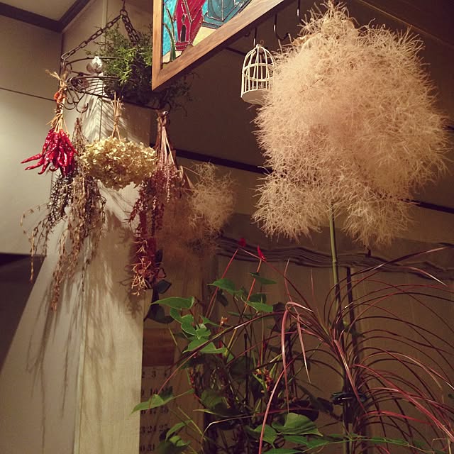 MiyoMiyoさんの実例写真