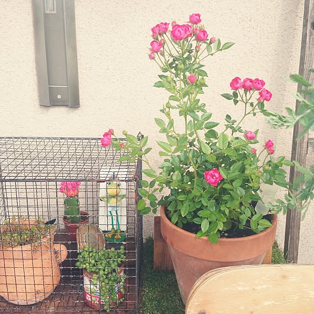 gurikoさんの実例写真