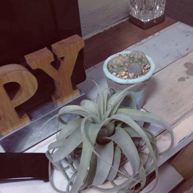 リビング/観葉植物/賃貸/DIY/リメイク...などのインテリア実例 - 2014-09-14 15:06:52