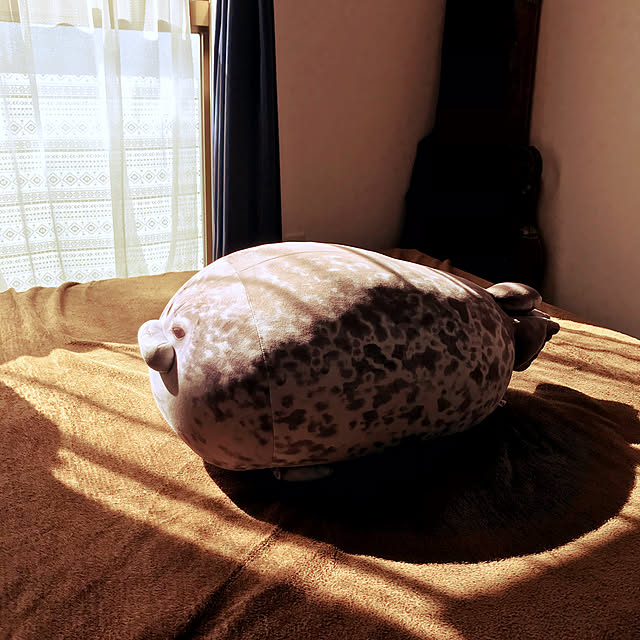 DOTさんの実例写真