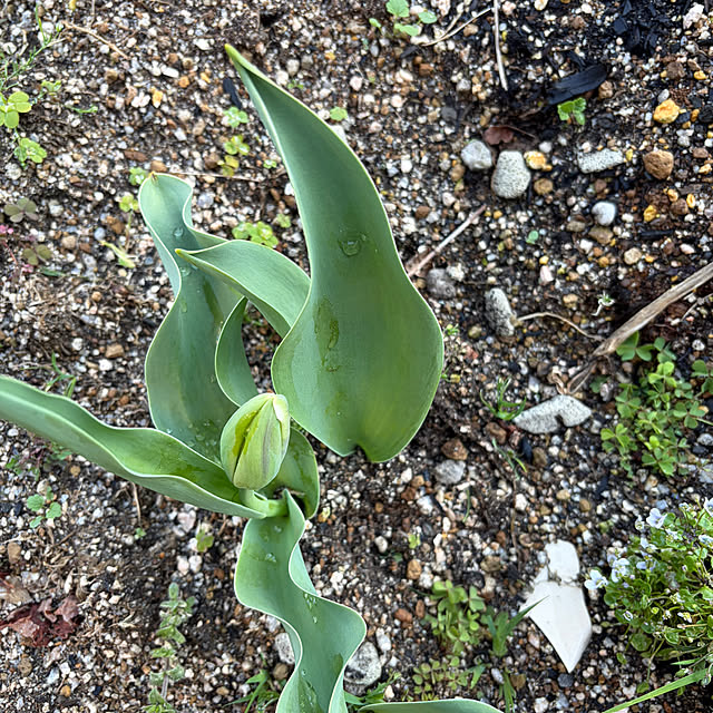 ritsukoさんの部屋