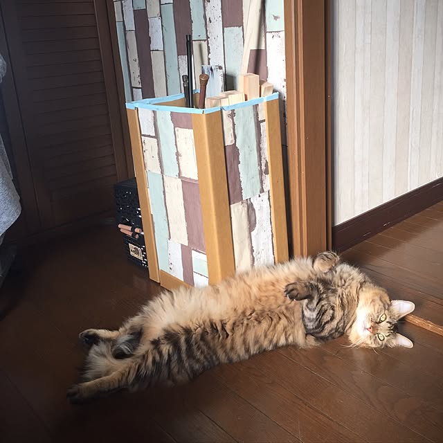 coconyantaさんの実例写真