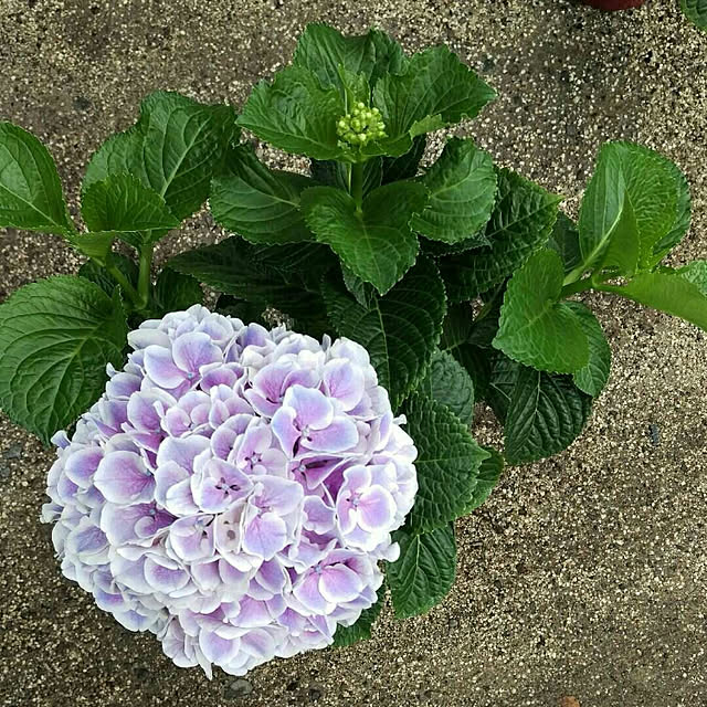 HIRO.TA29さんの実例写真