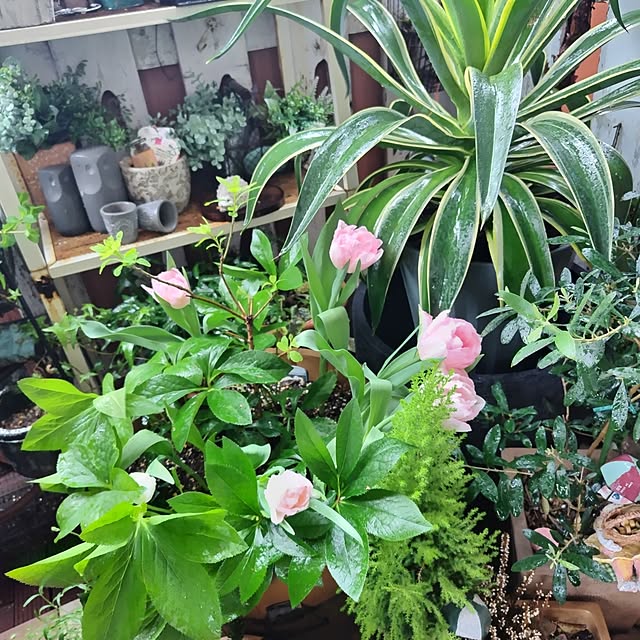 hiro3さんの部屋