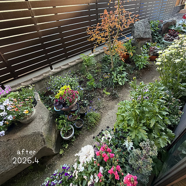 buchiさんの実例写真