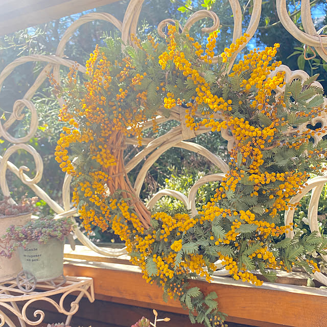 mintteaさんの部屋