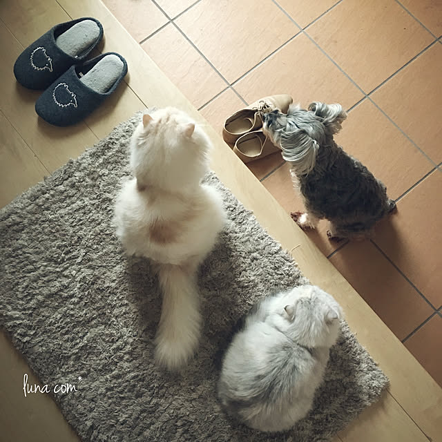 luna.comさんの実例写真