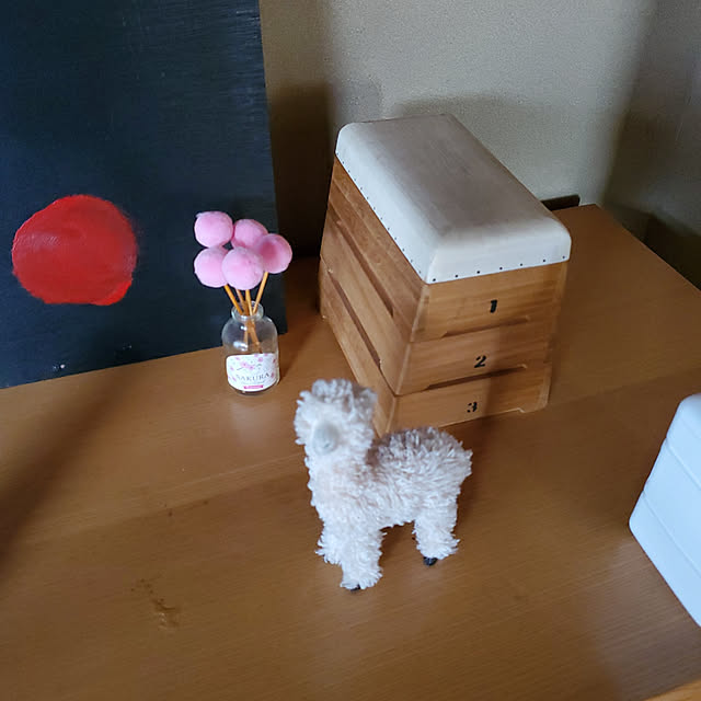 momomamaさんの実例写真