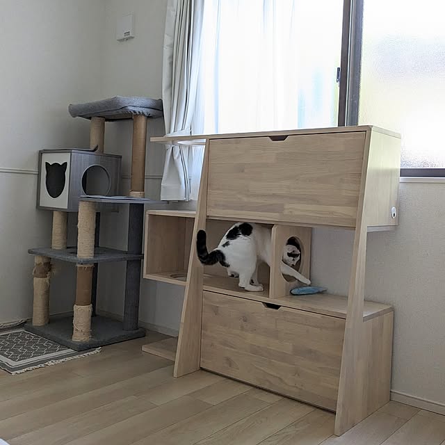 kumiさんの実例写真