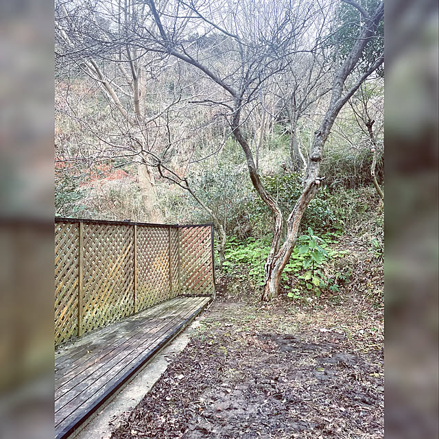 yunhohohoさんの実例写真